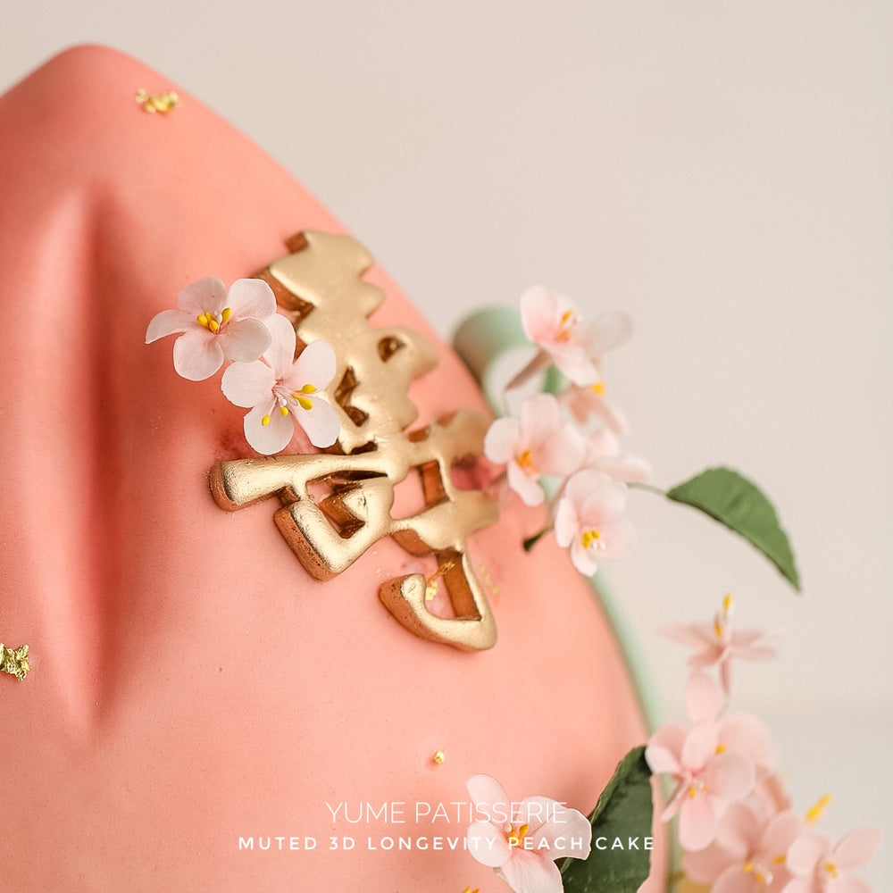 
                  
                    Load image into Gallery viewer, Light pink gradient muted 3D Longevity Peach Cake (Shou Tao cake) with edible sugar plum blossoms and mini fondant peaches
                  
                