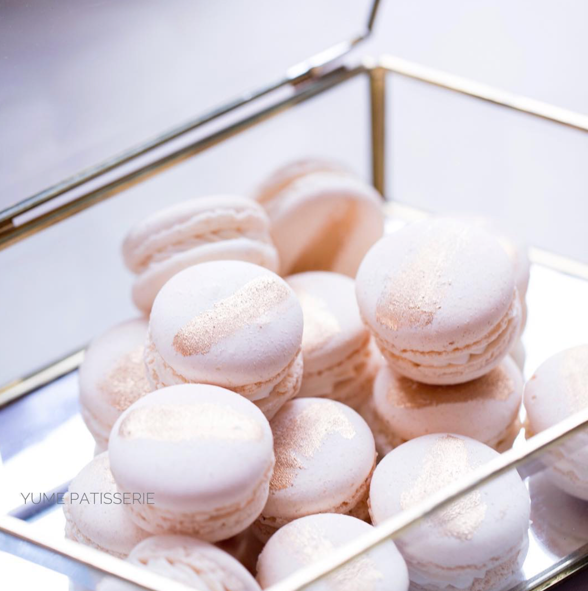 macaronです Boxof12macarons_1200x1200.png?