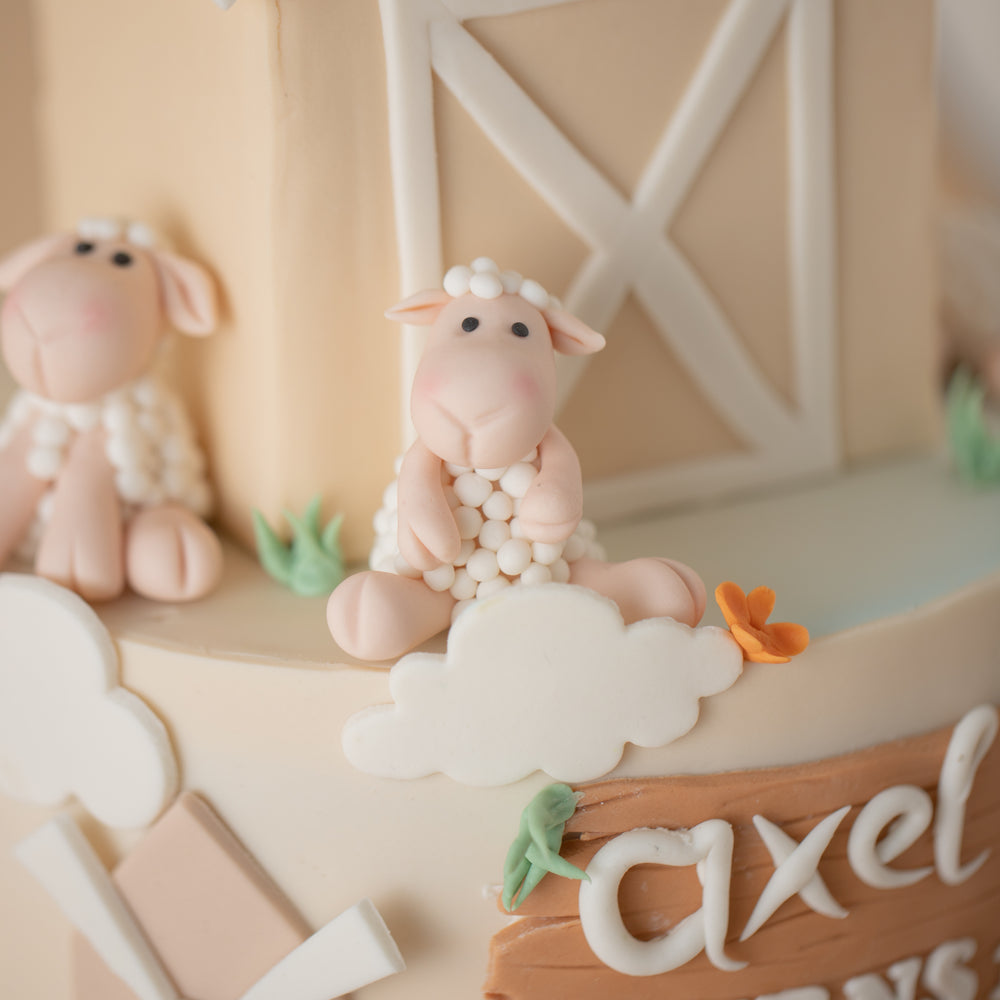 
                  
                    Load image into Gallery viewer, Close up on the fondant sheeps. They have white wool and are sitting down. They are incredibly cute.
                  
                