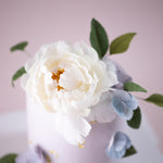 A close up of the white wafer peony. It looks extremely realistic.