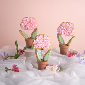 
                  
                    Load image into Gallery viewer, 2024 Mother&amp;#39;s Day Special Masterclass: Flora Royal Icing Cookie
                  
                