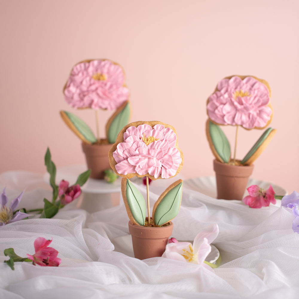 2024 Mothers Day Special: Floral Potted Plant Cookies