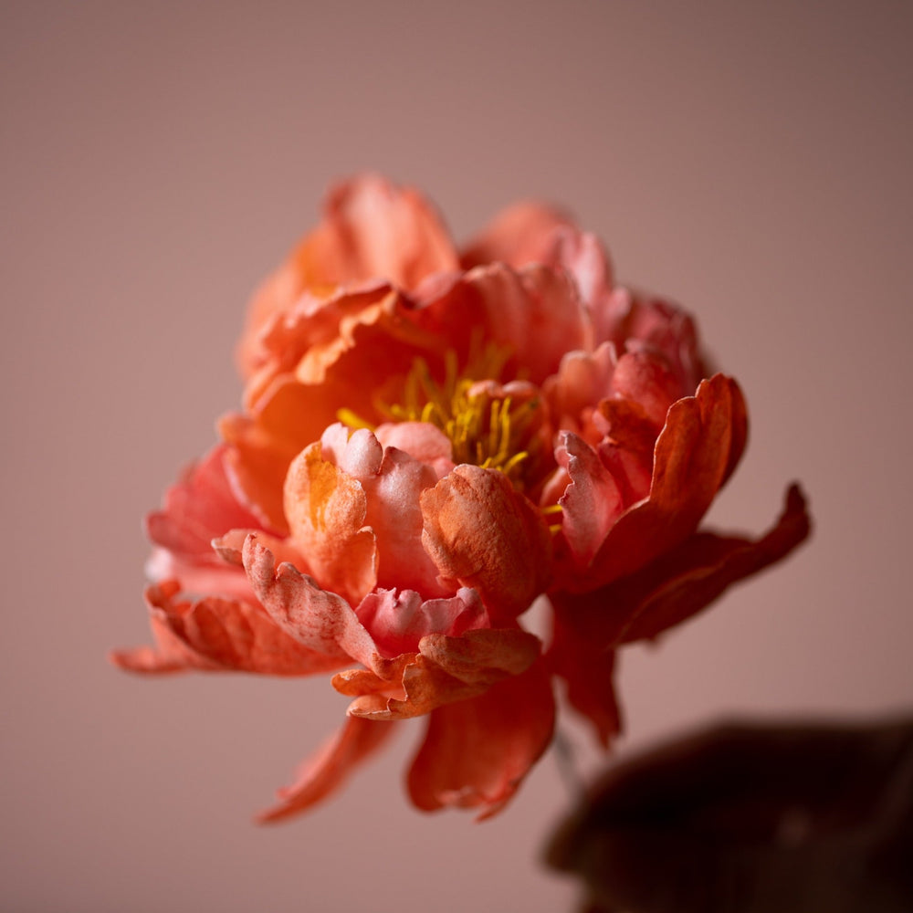 
                  
                    Load image into Gallery viewer, Masterclass: Edible Peony &amp;amp; Ranunculus Wafer Flowers
                  
                