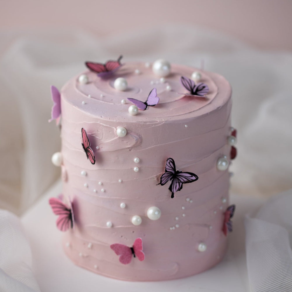 Handpainted Butterfly Cake
